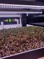 Цифровая ситиферма для выращивания микрозелени Greenbar ПАК MZ_PRO-16