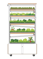 Гидропонные установки серии «Конструктор»