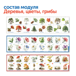 Природные богатства России с РобоМышью (2 робомыши, без системы хранения) Learning Resources MS0103