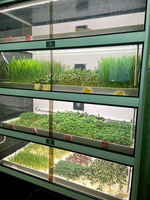 Витрина Greenbar MZ-2 ПАК для выращивания микрозелени