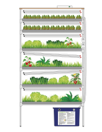 Гидропонные установки серии «Эконом»
