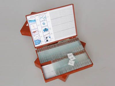 Комплект микропрепаратов 