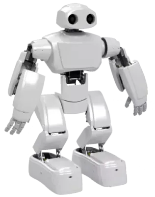 Программируемый человекоподобный робот ADAM, Полная комплектация