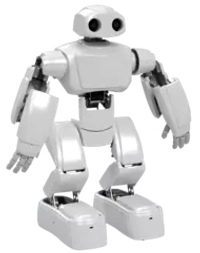 Программируемый человекоподобный робот ADAM, Полная комплектация