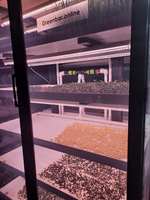 Цифровая ситиферма для выращивания микрозелени Greenbar ПАК MZ_PRO-16