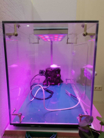 Детская биолаборатория "Умная грядка" Мироника