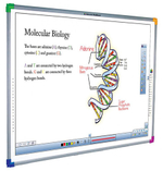 Интерактивная доска Interwrite Dual Board 1289