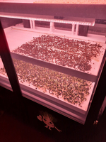 Цифровая ситиферма для выращивания микрозелени Greenbar ПАК MZ_PRO-16