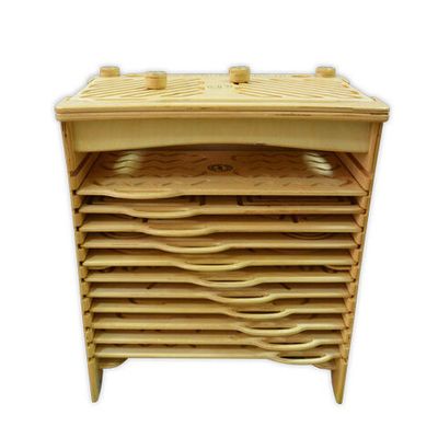 Межполушарный лабиринт 12-в-1 AVKompleks