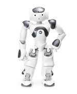 Человекоподобный робот NAO 6