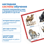 Модуль "Животные России" Learning Resources MS0102/3