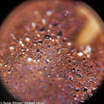 Микроскоп Levenhuk Rainbow 50L