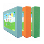 Интерактивная панель «Антошка 24 Проф»