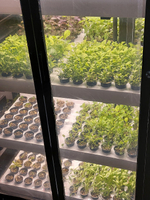 Промышленная ситифма Greenbar PRO-53 ПАК для выращивания зелени