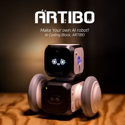 Набор для изучения углубленного программирования с искусственным интеллектом Artibo