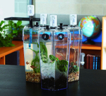 Комплект датчиков PASCO для учителя начальной школы