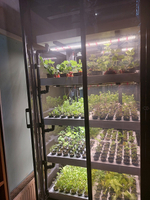 Промышленная ситиферма Greenbar PRO-5 ПАК для коммерческого выращивания зелени