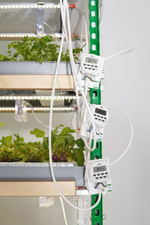 Гидропонные установки серии «Конструктор»