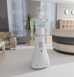 Человекоподобный робот FoR1