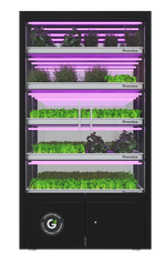 Ситиферма Greenbar LUX-5 ПАК для выращивания зелени, пряных трав